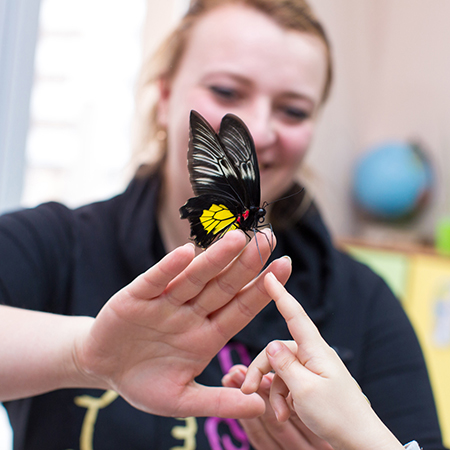 Восторг и положительные эмоции от соприкосновения с прекрасными живыми бабочками.