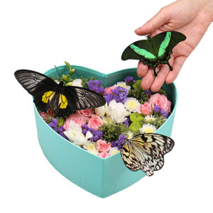 Композиции с цветами и живыми бабочками