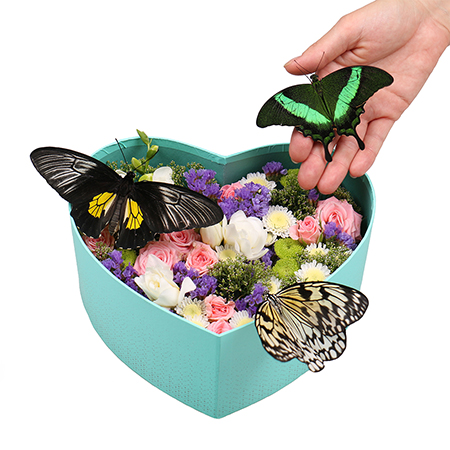 Живые бабочки с цветами в коробке сердце