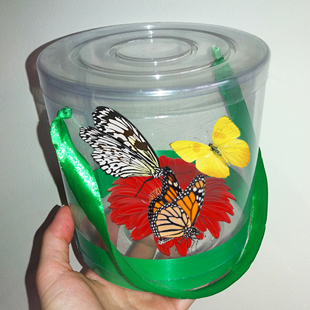 Три живые бабочки в прозрачном тубусе с герберой.