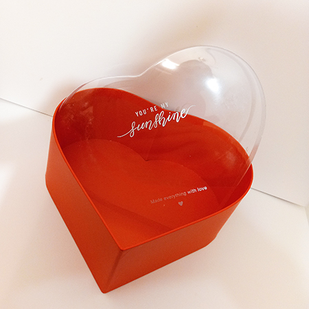 Коробка сердце красное с прозрачной крышкой для живых бабочек