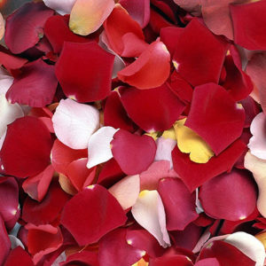 Ароматные лепестки роз свежих цветов