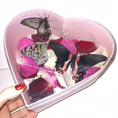 Коробка сердце с лепестками роз и живыми бабочкамибабочкой